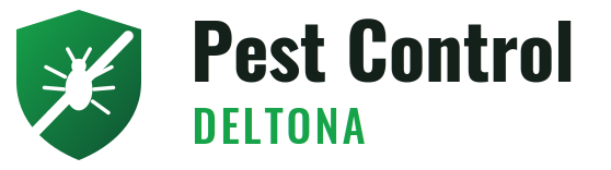 Deltona Pest Control